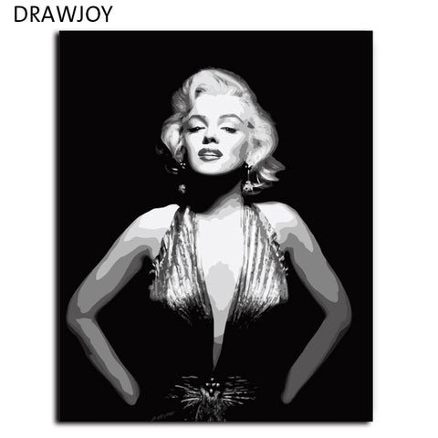 Framless wall art DIY oil painting by numbers40 * 50cm