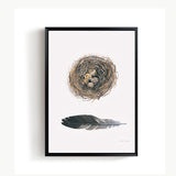 Nordic Minimalist Canvas Painting Feather Stone Poster