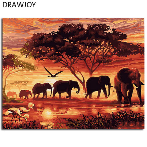 DRAWJOY Framed Picture Painting By Numbers 40 * 50cm