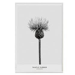 Nordic Sea Landscape Canvas Paintings Poster Minimalist Wall Art Pop