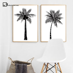 Black White Tropical Plant Coconut Tree Poster Canvas